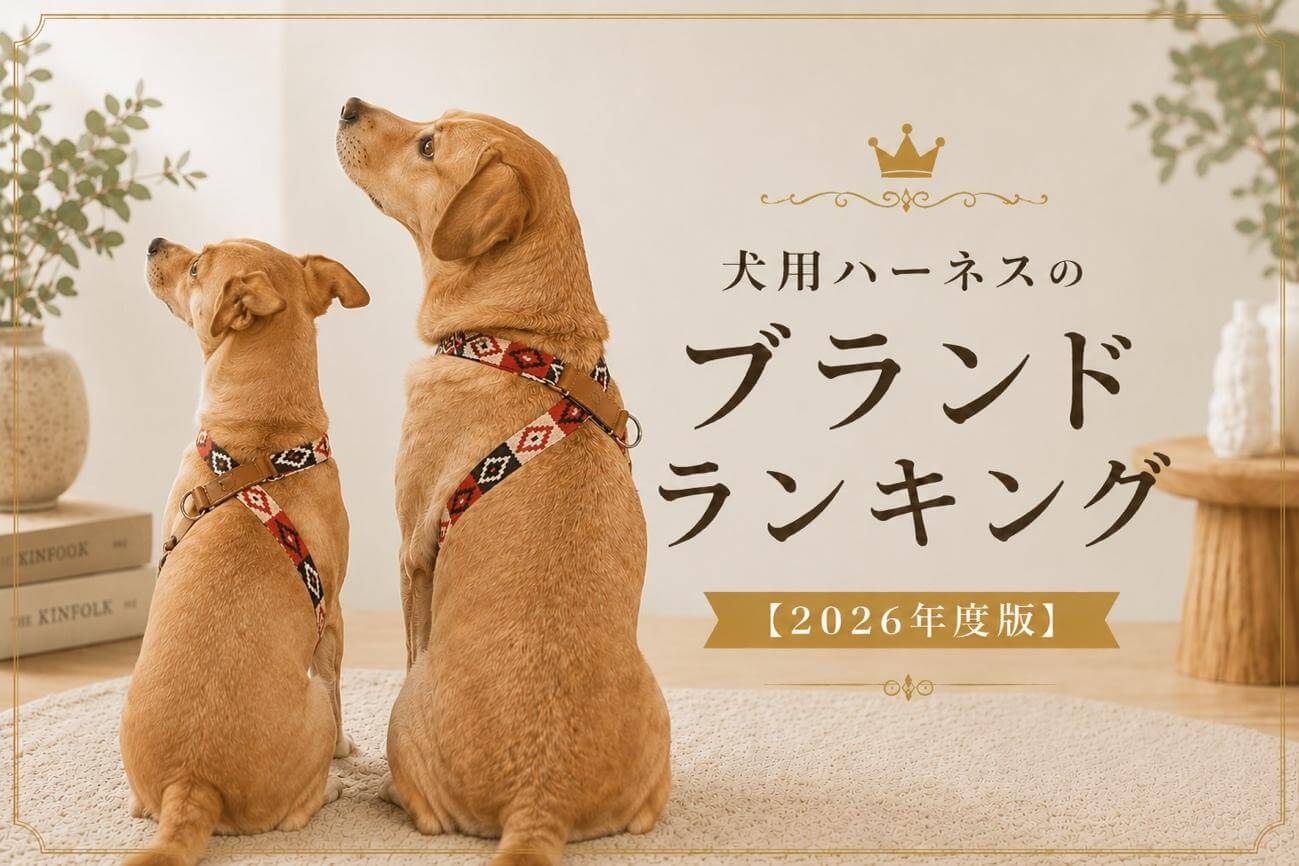 犬用ハーネスのブランドランキング【2026年度版】